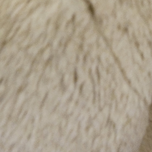 Loft (Ann Taylor Loft) Cream Faux Suede Faux Fur Trim & Lining Vest, Large - Picture 11 of 16